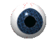 Eye Icon